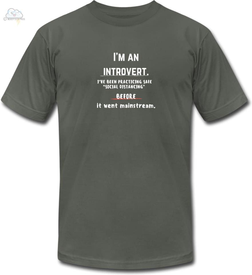 Im an introvert -Unisex Jersey T-Shirt - asphalt / S - Unisex Jersey T-Shirt by Bella + Canvas